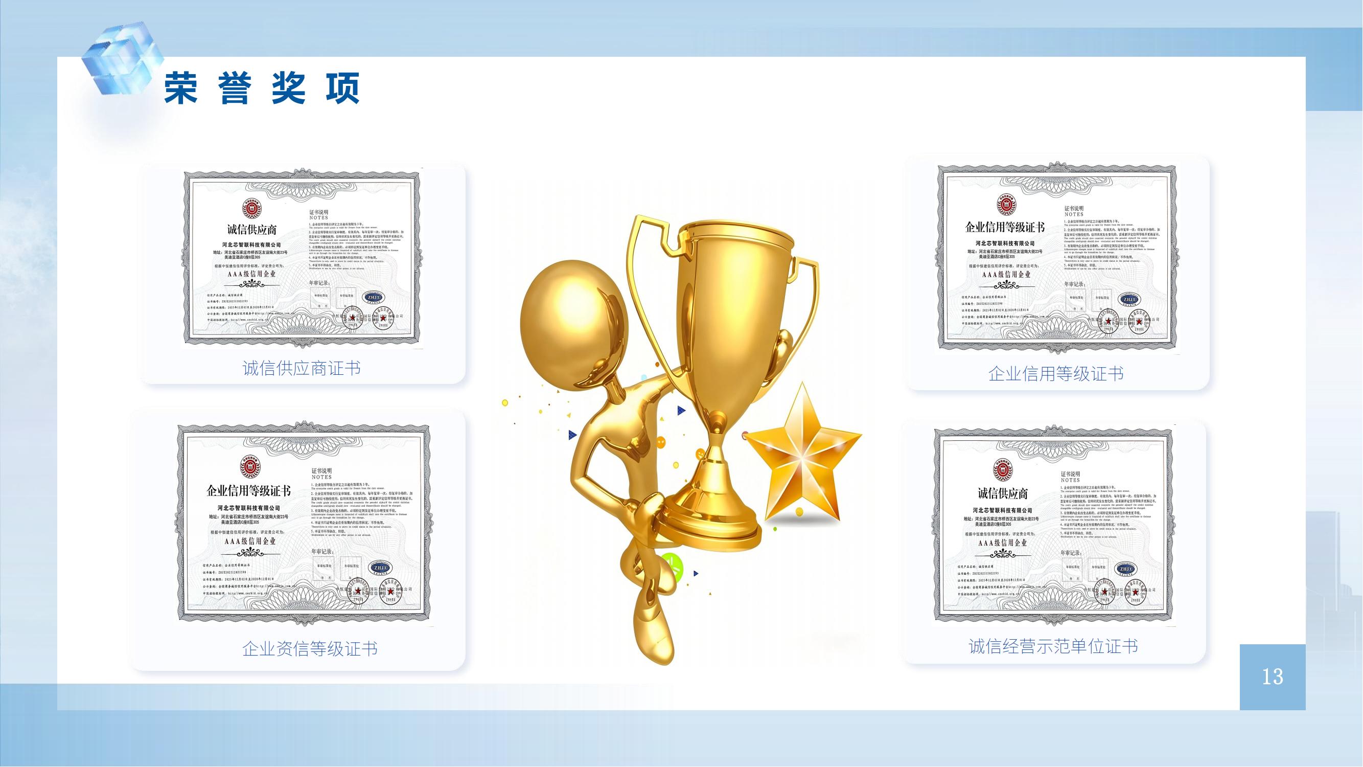 企业介绍 第 13 页